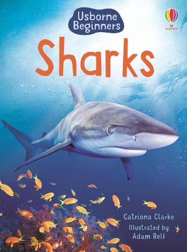 Sharks - Paperback cover