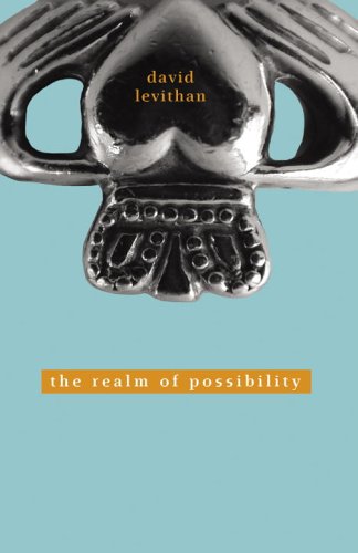 The Realm of Possibility by David Levithan - Paperback cover