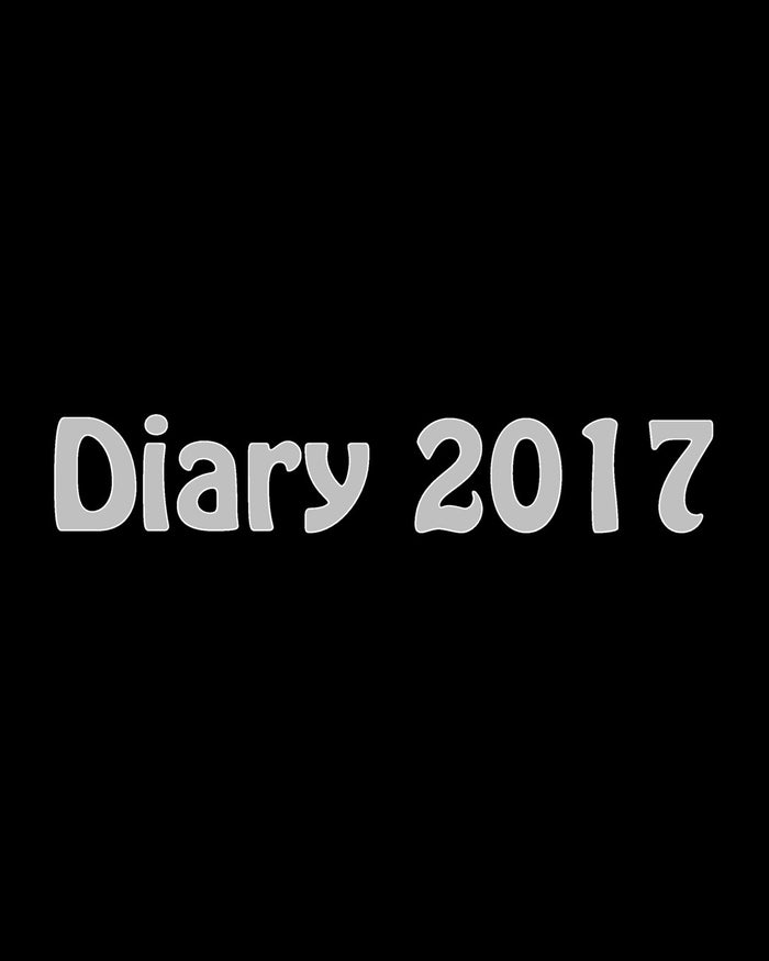 Diary 2017 by Maisy Millard - Paperback cover