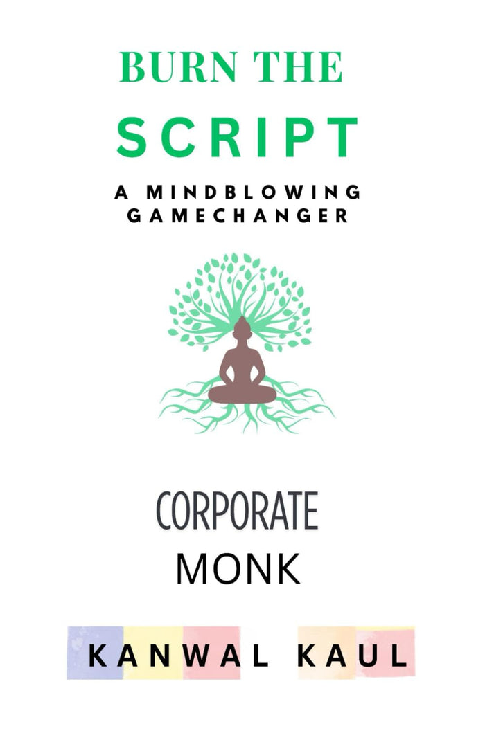 Burn the Script: A Mindblowing Gamechanger by Kanwal Kaul - Paperback cover