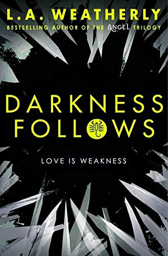 Darkness Follows by L.A. Weatherly - Paperback cover