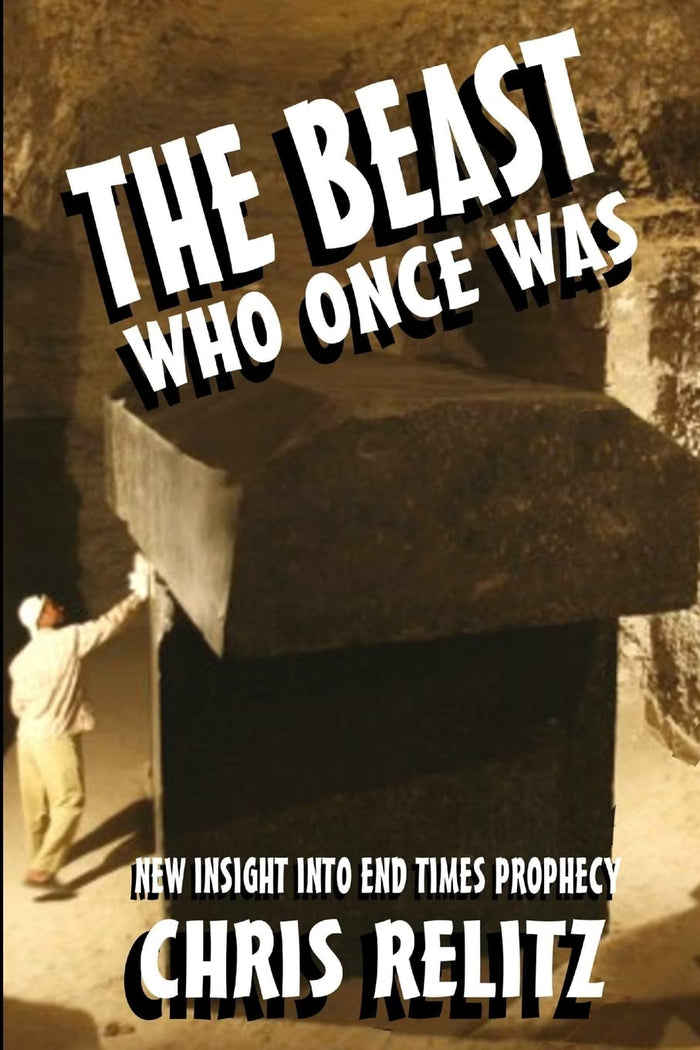 The Beast Who Once Was: New Insight into End Times Prophecy by Chris Relitz - Paperback cover