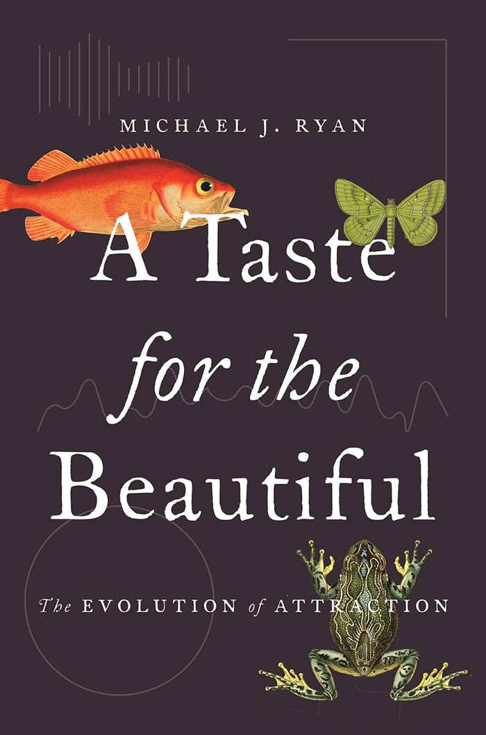 A Taste for the Beautiful: The Evolution of Attraction by Michael J. Ryan - Paperback cover