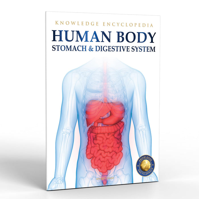 Human Body - Stomach And Digestive System: Knowledge Encyclopedia For Children by Wonder House Books - Paperback cover