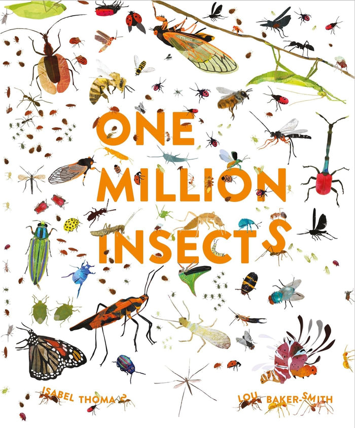One Million Insects by Isabel Thomas - Hardcover cover