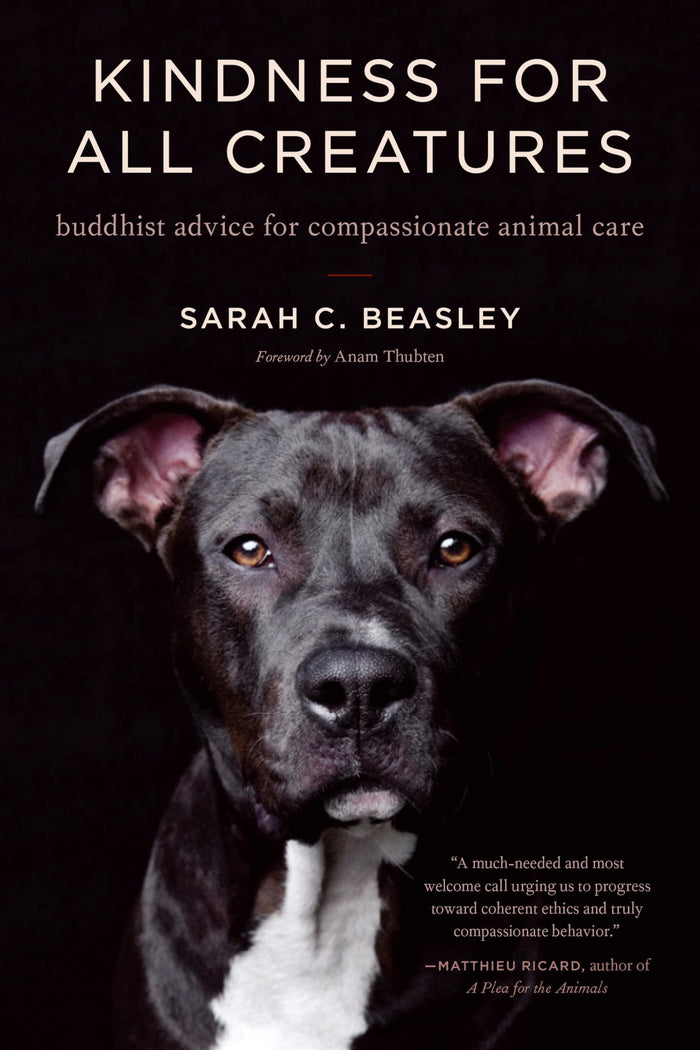 Kindness for All Creatures: Buddhist Advice for Compassionate Animal Care by Sarah C. Beasley - Paperback cover