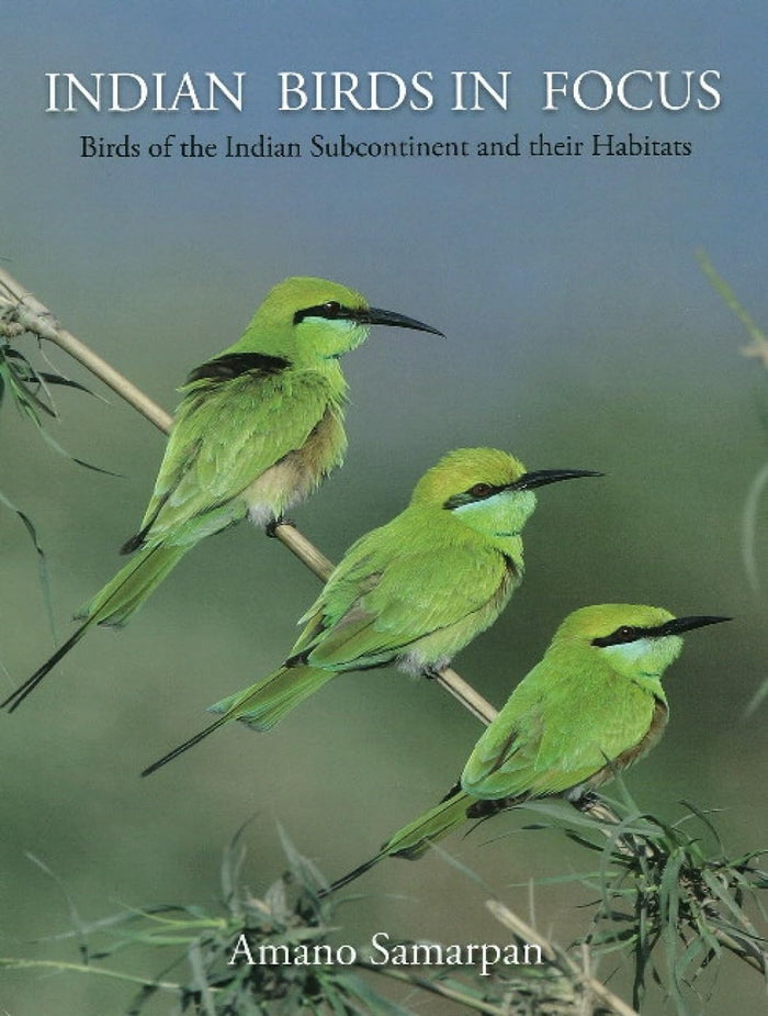Indian Birds in Focus by Amano samarpan - Hardcover cover