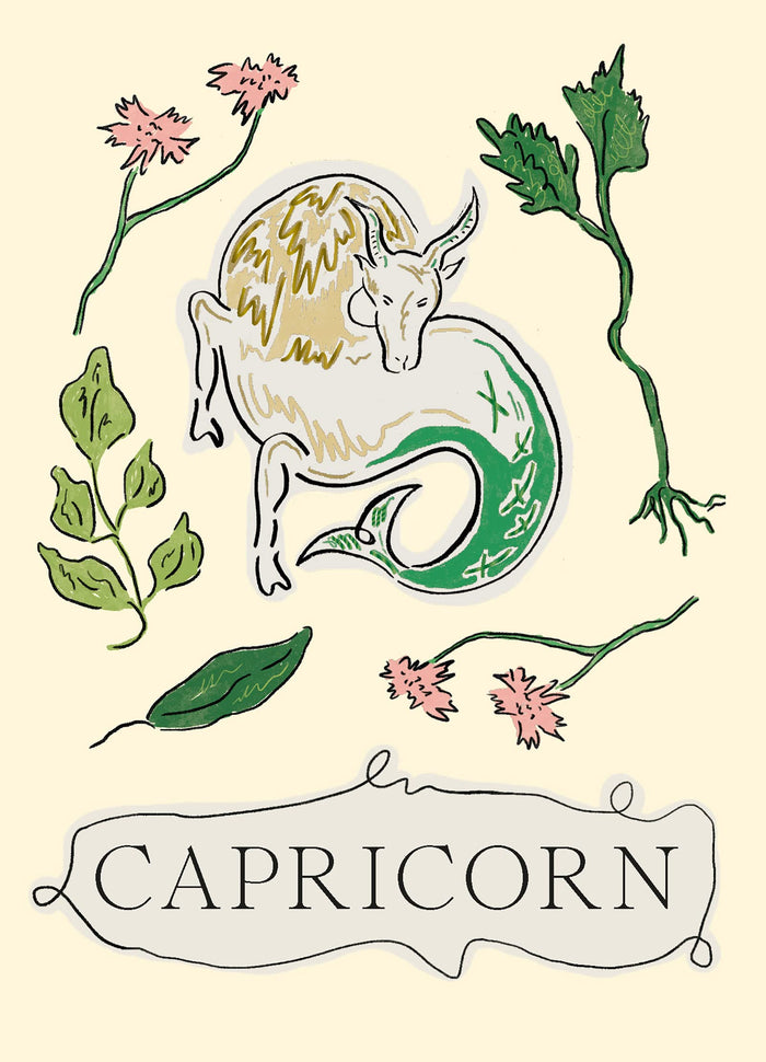 Capricorn (Planet Zodiac, 10) by Liberty Phi - Hardcover cover