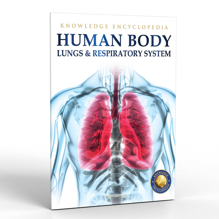Human Body - Lungs And Respiratory System: Knowledge Encyclopedia For Children by Wonder House Books - Paperback cover