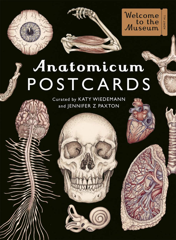 Anatomicum Postcard Box by Jennifer Z Paxton - Paperback cover