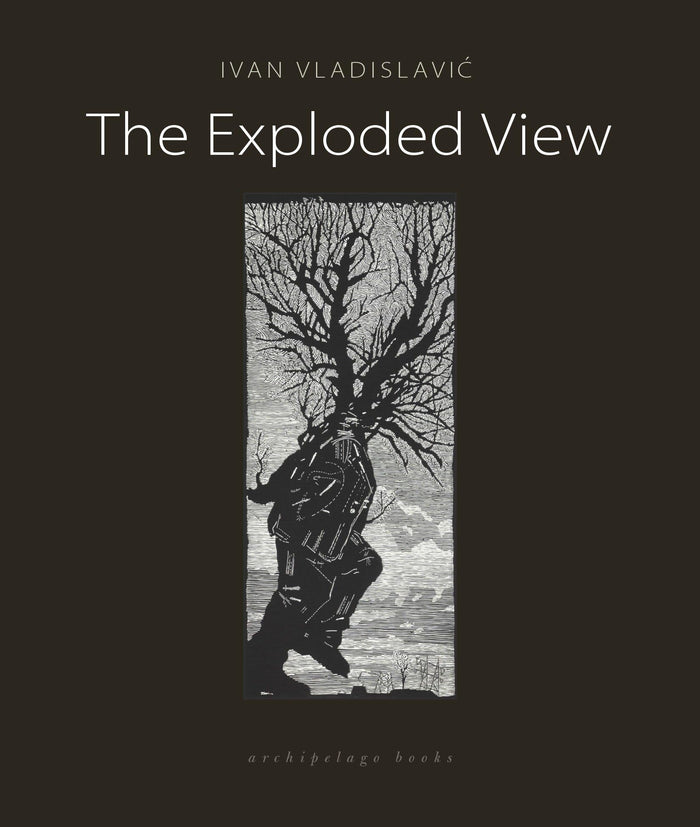 The Exploded View by Ivan Vladislavic - Paperback cover