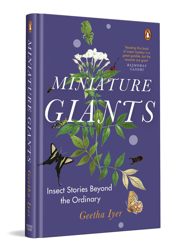 Miniature Giants: Insect Stories Beyond The Ordinary by Geetha Iyer - Hardcover cover