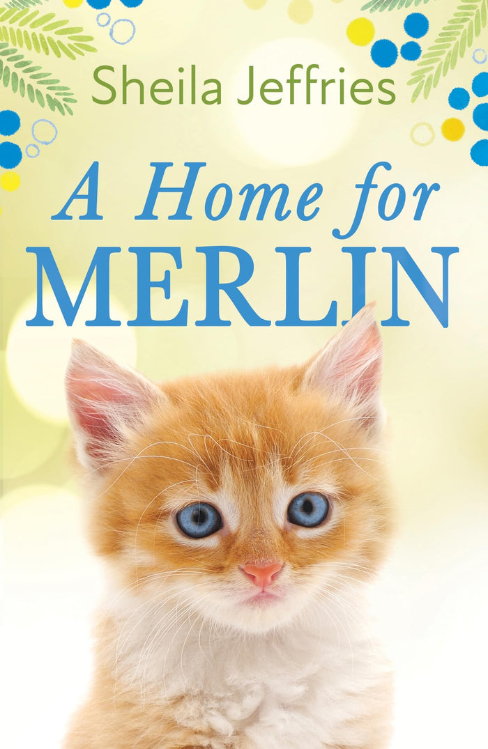 A Home for Merlin by Sheila Jeffries - Paperback cover