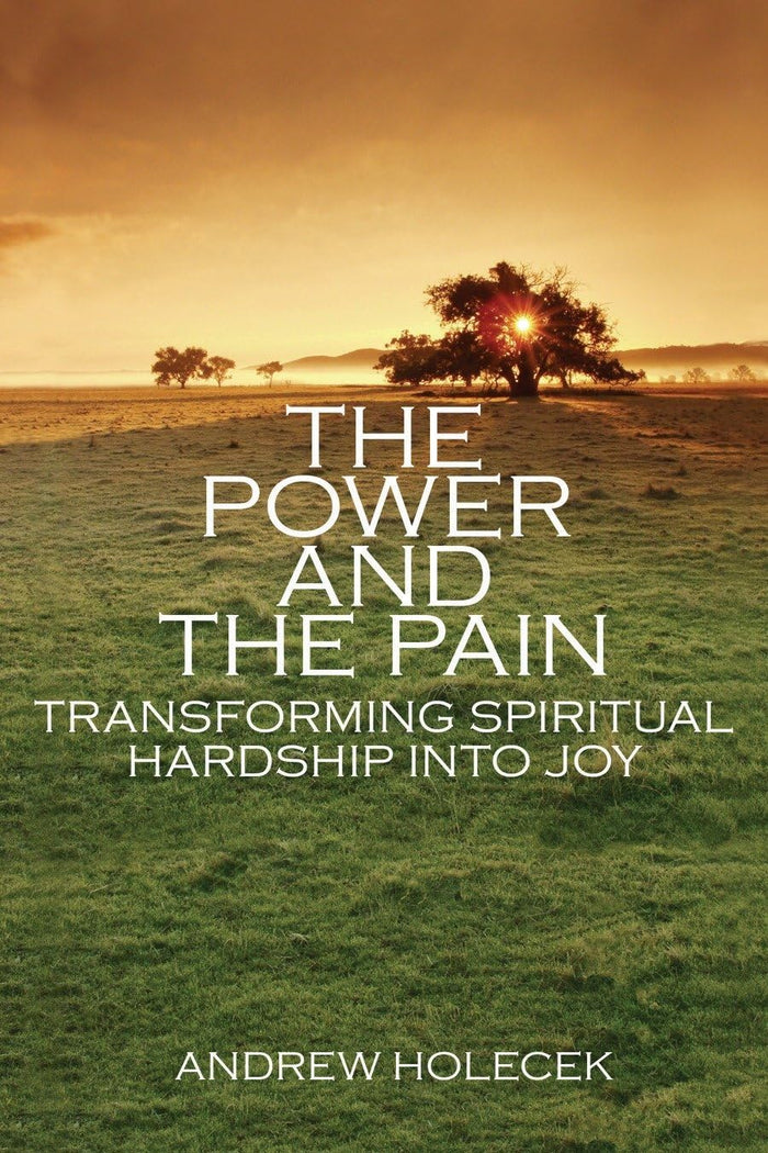 The Power and the Pain: Transforming Spiritual Hardship into Joy by Andrew Holecek - Paperback cover