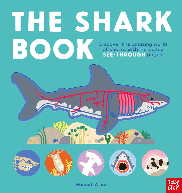 Nosy Crow The Shark Book. by Hannah Alice - Board Book cover
