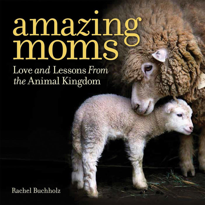 Amazing Moms: Love and Lessons From the Animal Kingdom by Rachel Buchholz - Hardcover cover