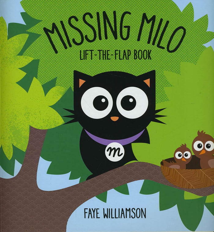 Front cover of the book 'Missing Milo' by Faye Williamson.