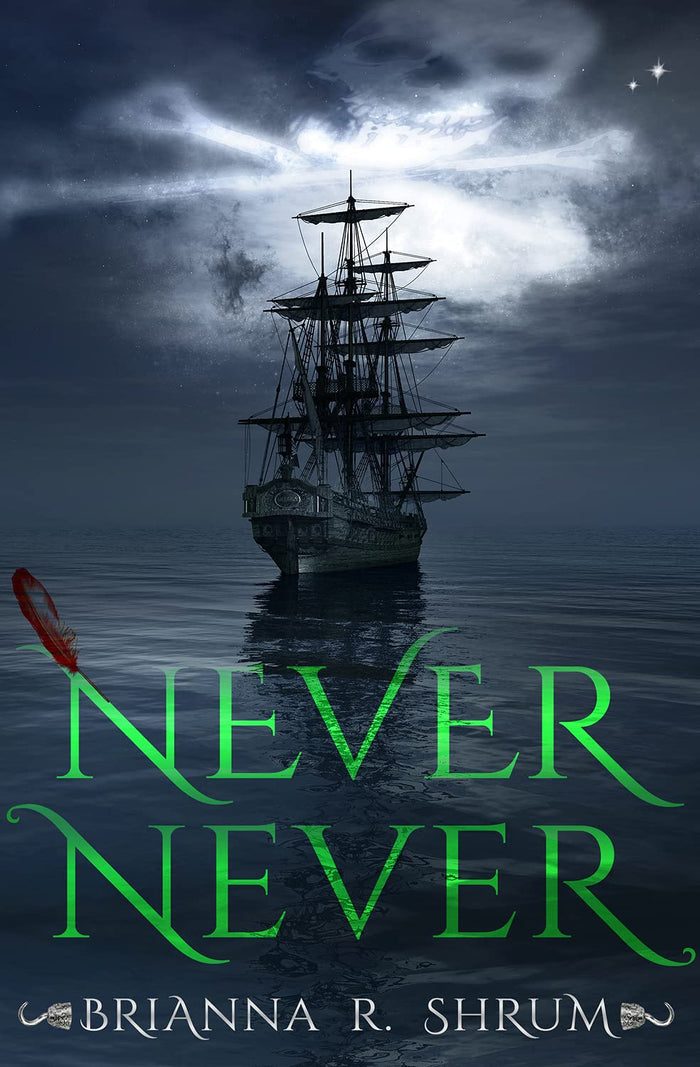 Never Never by Brianna Shrum - Paperback cover