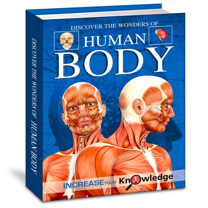 Discover The Wonders Of Human Body by Brijbasi Art Press Ltd. - Hardcover cover
