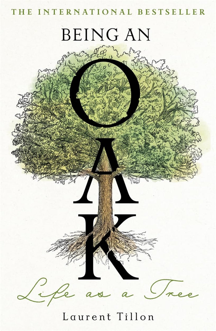 Being an Oak: Life as a tree by Laurent Tillon - Paperback cover