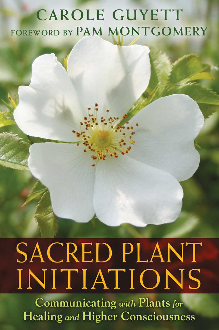 Sacred Plant Initiations: Communicating with Plants for Healing and Higher Consciousness by Carole Guyett - Paperback cover
