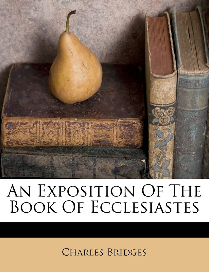 An Exposition Of The Book Of Ecclesiastes (Afrikaans Edition) by Charles Bridges - Paperback cover