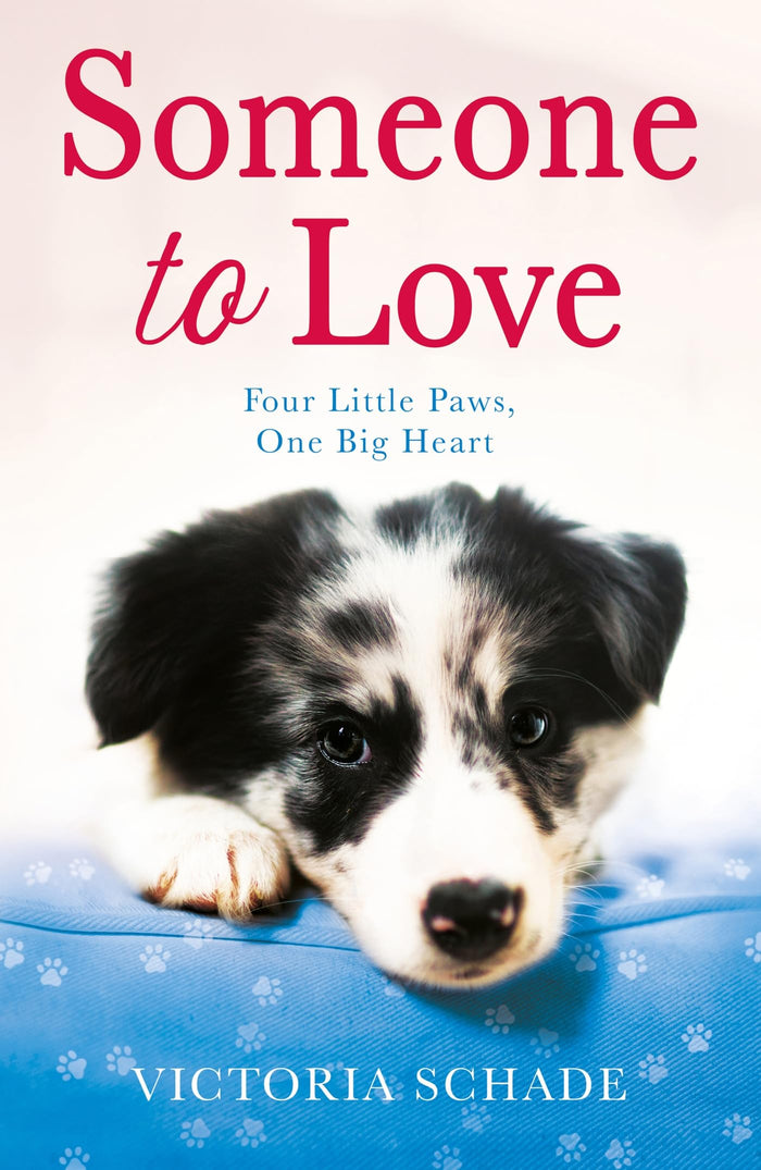 Someone to Love by Victoria Schade - Paperback cover