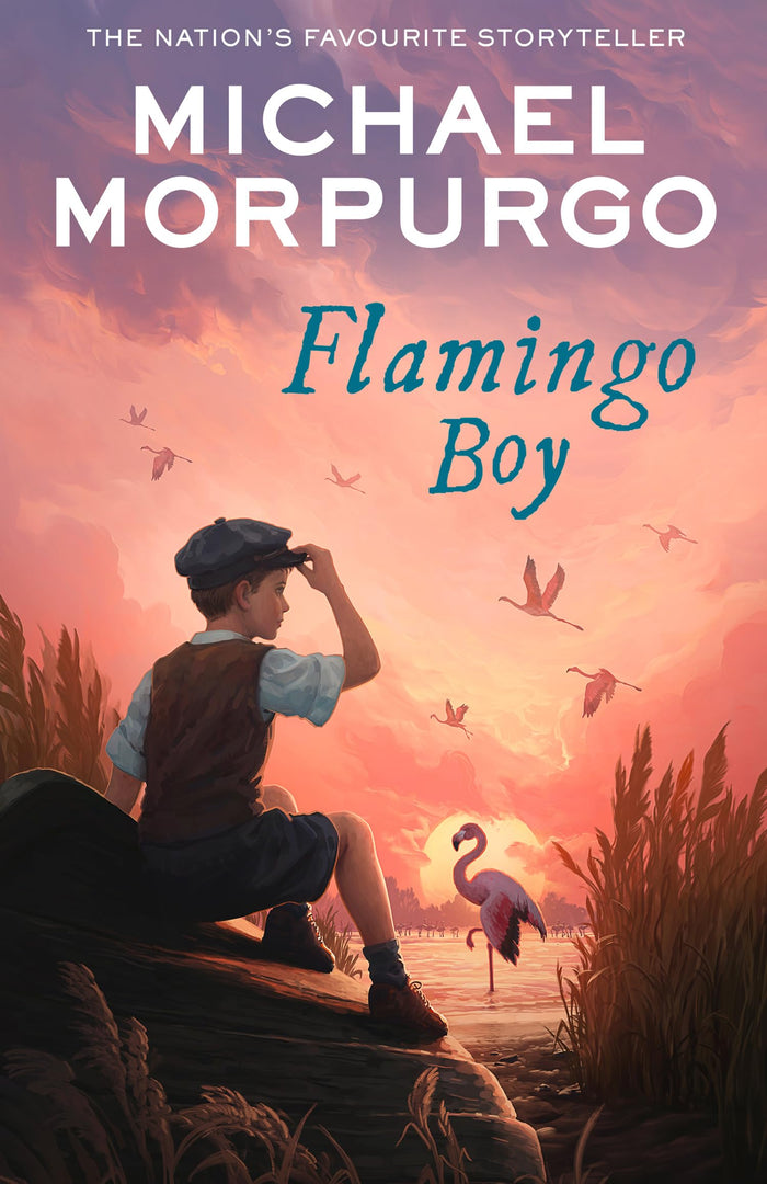 HarperCollins Flamingo Boy. by Michael Morpurgo - Paperback cover