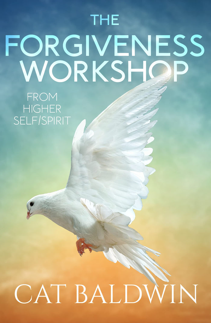 The Forgiveness Workshop: From Higher Self/Spirit by Cat Baldwin - Paperback cover