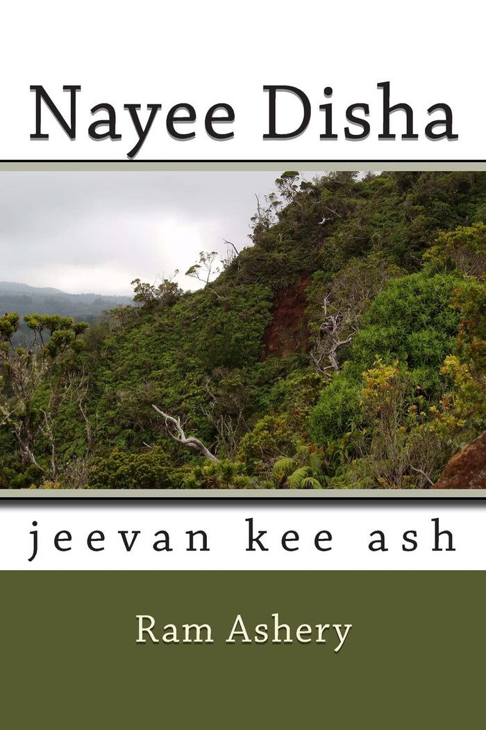 Nayee Disha: Jeevan Kee Ash (Kavita Sangrah) (Hindi Edition) by Vipul Sudhakar - Paperback cover