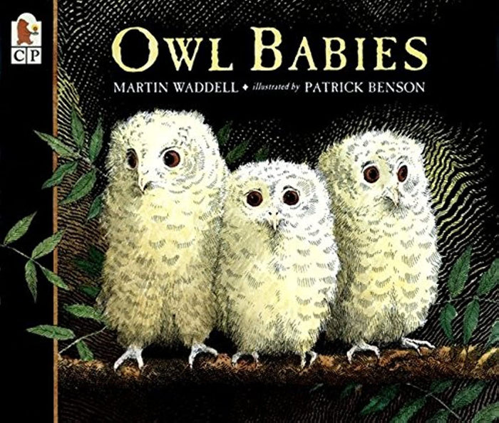 Owl Babies by Martin Waddell - Paperback cover