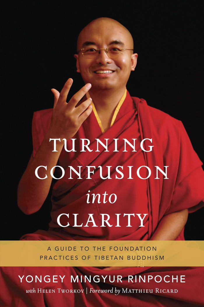 Turning Confusion into Clarity: A Guide to the Foundation Practices of Tibetan Buddhism by Helen Tworkov - Paperback cover
