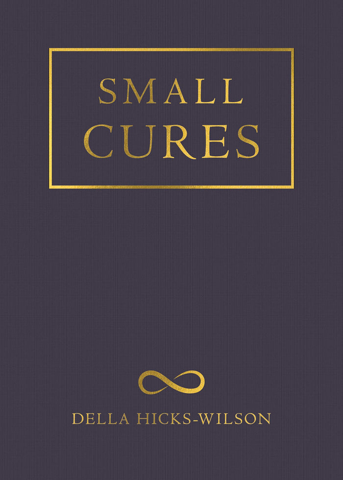 Small Cures by Della Hicks-Wilson - Paperback cover