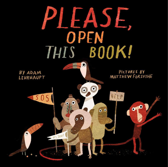 Please, Open This Book! by Adam Lehrhaupt - Hardcover cover