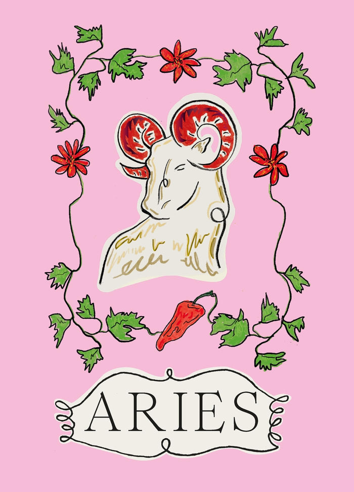 Aries (Planet Zodiac, 1) by Liberty Phi - Hardcover cover