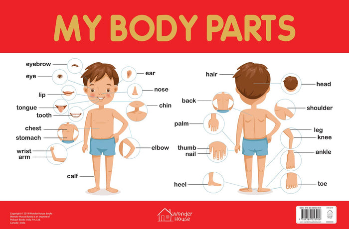 My Body Parts Chart - Early Learning Educational Chart For Kids: Perfect For Homeschooling, Kindergarten and Nursery Students (11.5 Inches X 17.5 Inches) by Wonder House Books - Hardcover cover