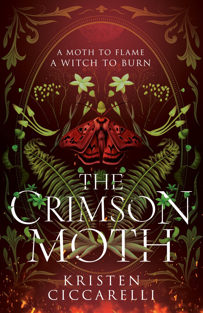 Magpie The Crimson Moth. by Kristen Ciccarelli - Hardcover cover