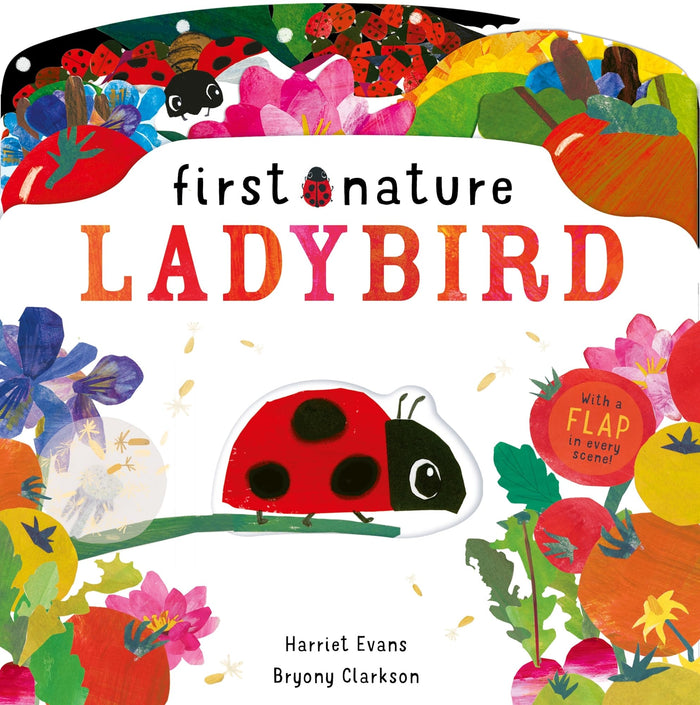 Ladybird (First Nature) by Harriet Evans - Novelty Book cover