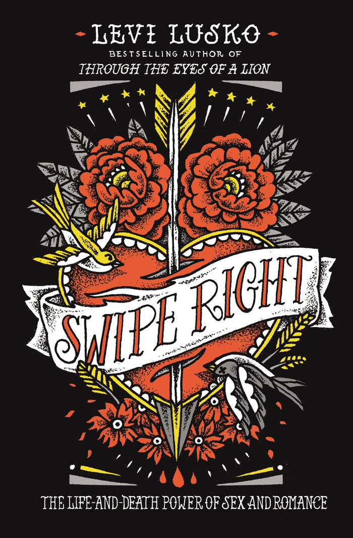 Swipe Right: The Life-and-Death Power of Sex and Romance by Levi Lusko - Paperback cover
