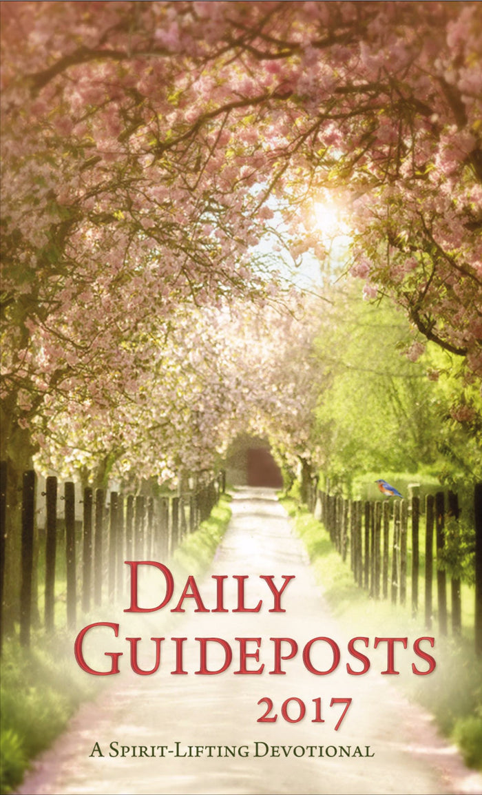 Daily Guideposts 2017: A Spirit-Lifting Devotional by Guideposts - Hardcover cover