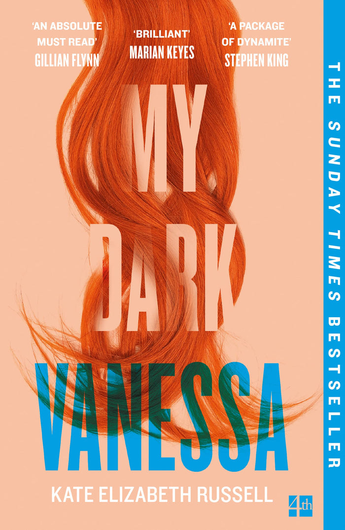 My dark vanessa by Kate Elizab Russell - Paperback cover