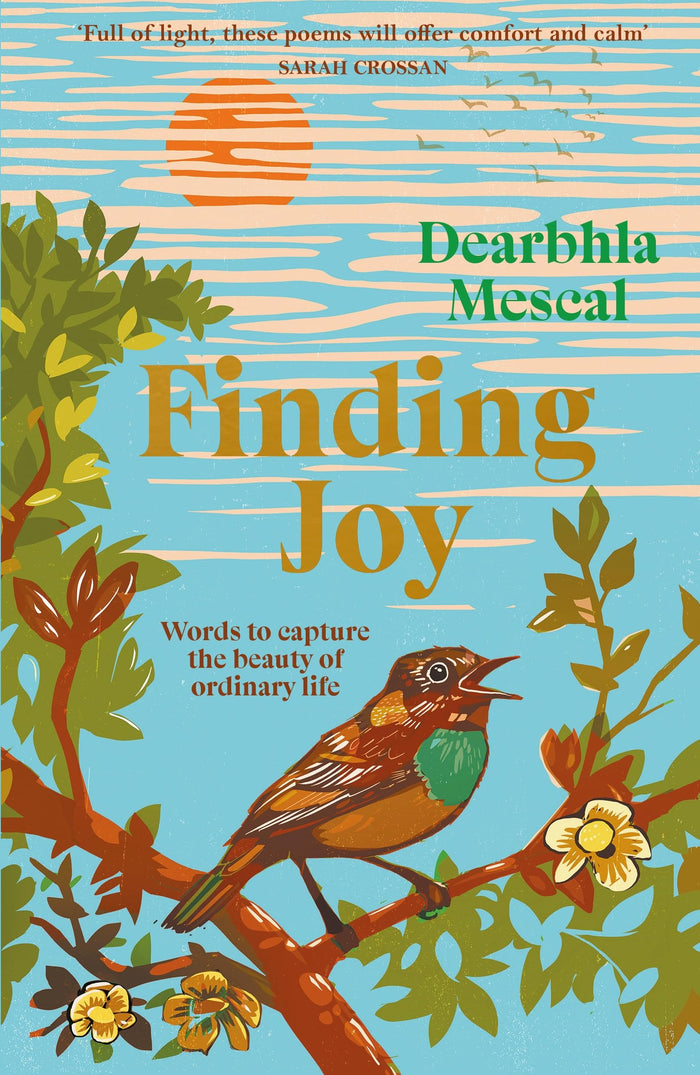 Finding Joy by Dearbhla Mescal - Hardcover cover