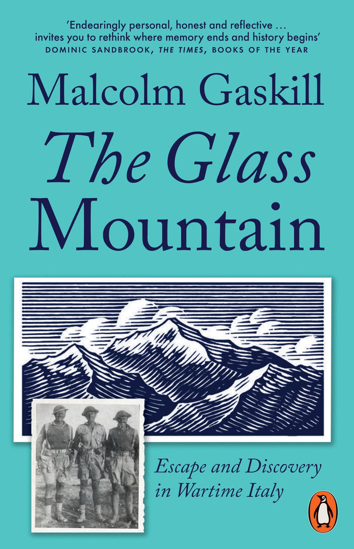 The Glass Mountain by Gaskill Malcolm - Paperback cover