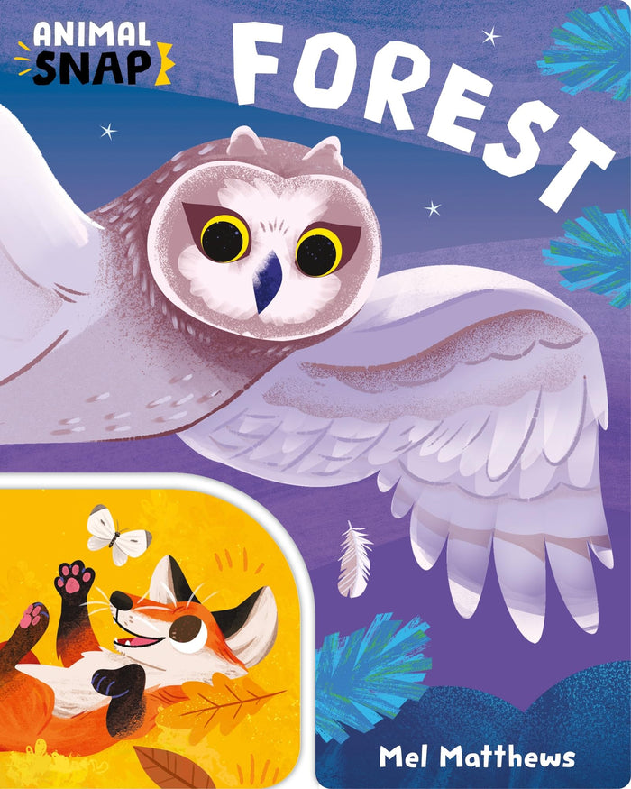 Animal Snap: Forest - Board Book cover