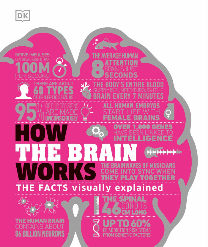 How the Brain Works: The Facts Visually Explained by D.K. Publishing - Hardcover cover