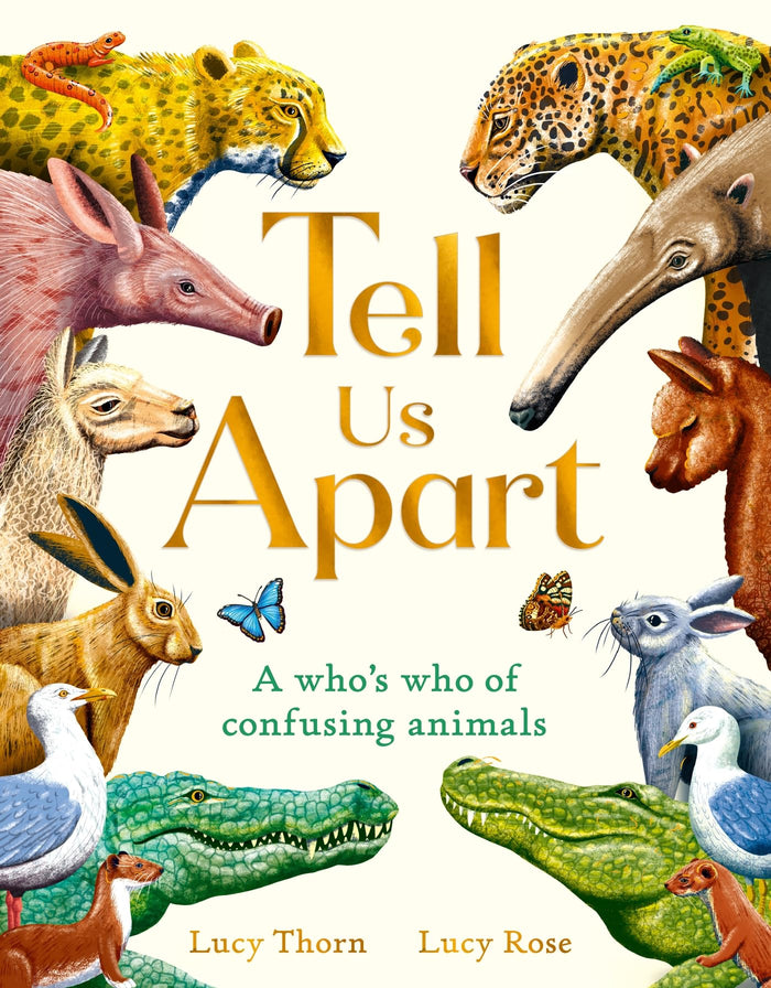 Tell Us Apart : A who's who of confusing animals /anglais by Thorn Lucy - Hardcover cover