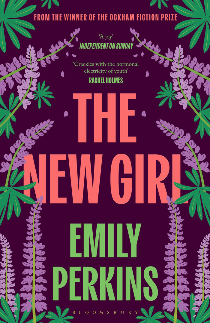 The New Girl by Emily Perkins - Paperback cover
