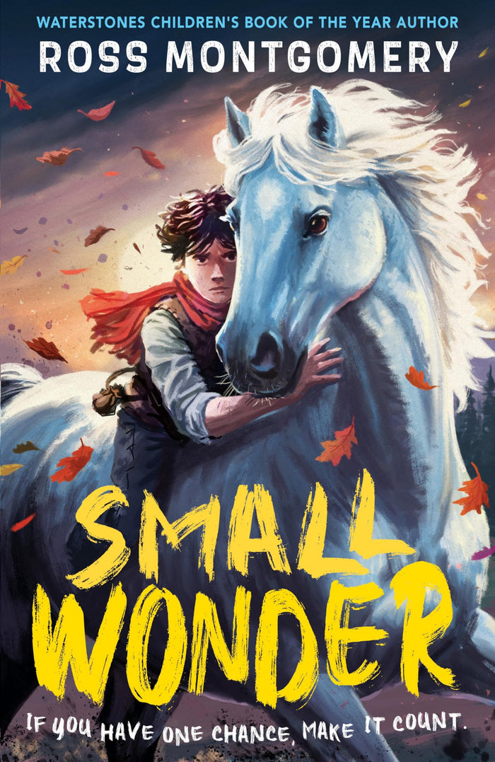 Small Wonder: The brand-new exciting adventure for 9-12-year-olds from the award-winning, bestselling author of I Am Rebel by Ross Montgomery - Paperback cover