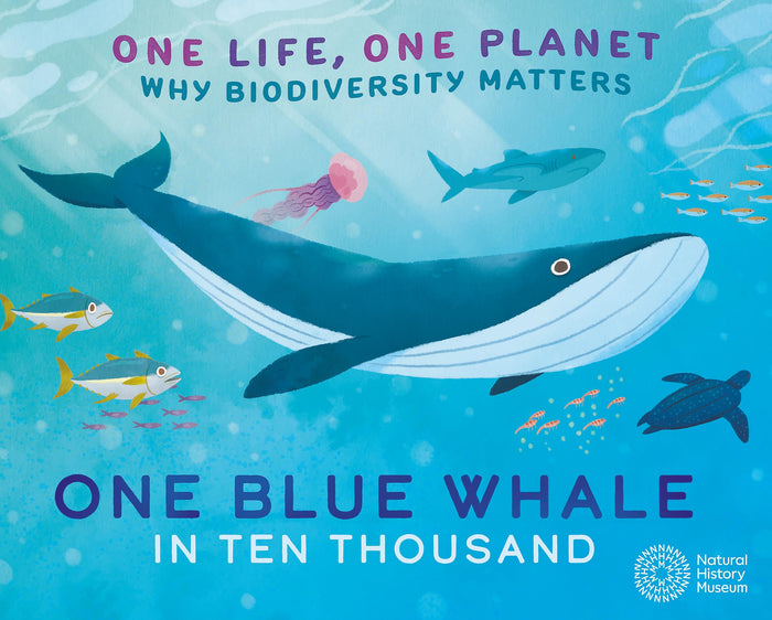 Wayland One Life, One Planet One Blue Whale in Ten Thousand Why Biodiversity Matters. by Sarah Ridley - Paperback cover
