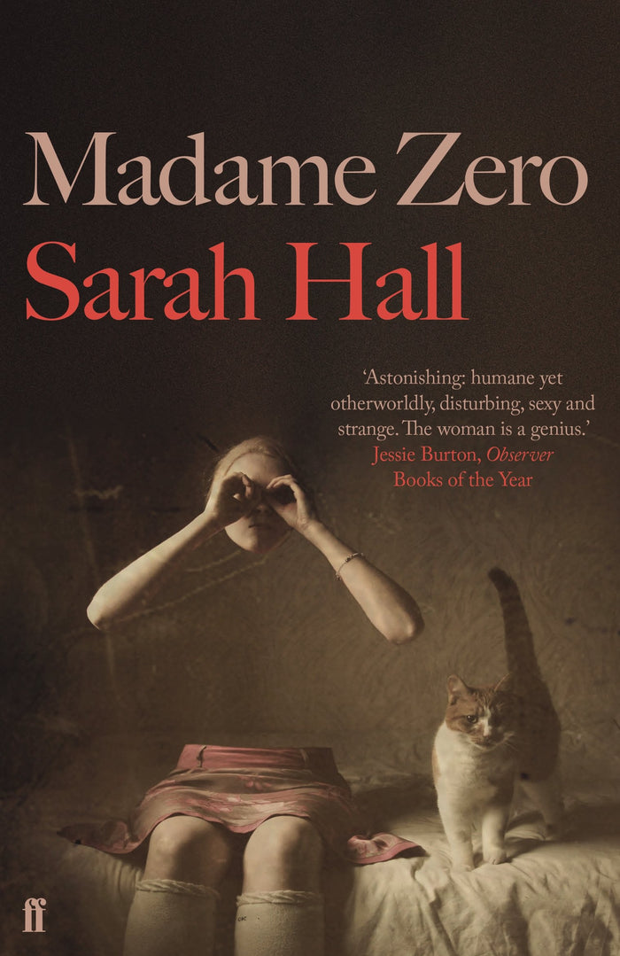 Madame Zero by Sarah Hall - Paperback cover